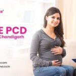 Top 10 Gynae PCD companies in Chandigarh